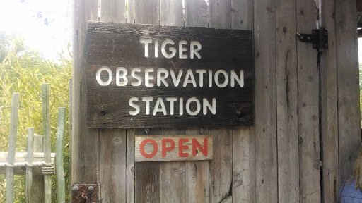 SCZ - Tiger Observation Station
