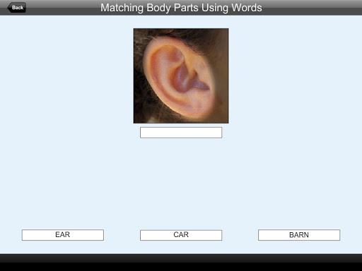 【免費教育App】Match Body Parts Using Words-APP點子