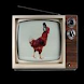 Flat chicken Audio Visual