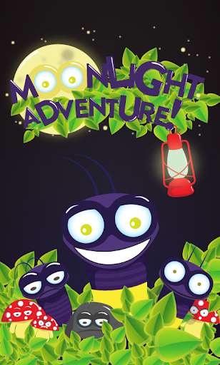 The Moonlight Adventure