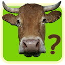are you COW ? mobile app icon