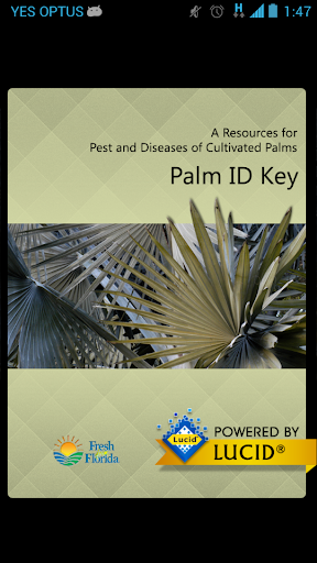 Palm ID Key