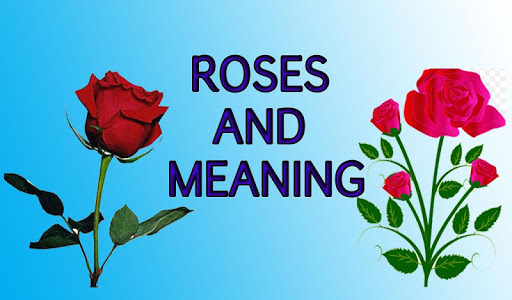 【免費生活App】Roses and Meaning-APP點子