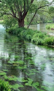 How to download River Wallpaper patch 1.0 apk for bluestacks