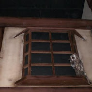 宜蘭窯烤山寨村