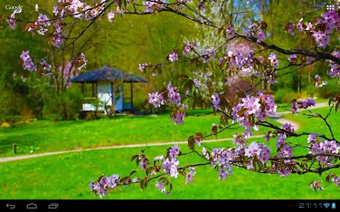 Zen Sakura House in Garden - náhled