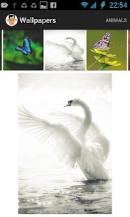 Download Wallpaper Collection APK for Android
