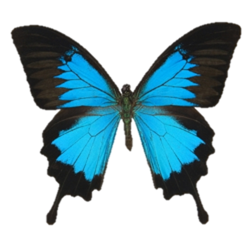 Butterfly, Butterfly LOGO-APP點子