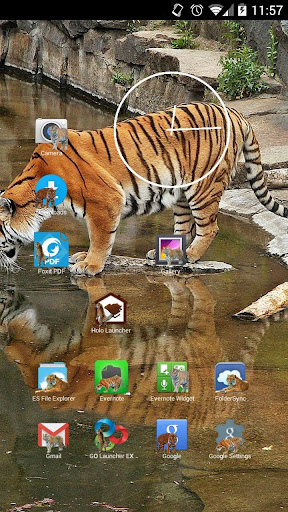 Tigers Icon Theme