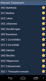 Dutch Holy Bible poster 4