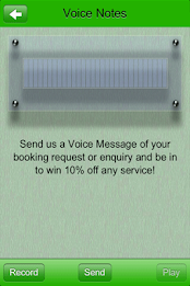 Bee Brazilian poster 6