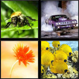 Simple Puzzle poster 7