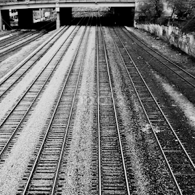 Hogtown Trax by Dallas Landriault - Transportation Railway Tracks
