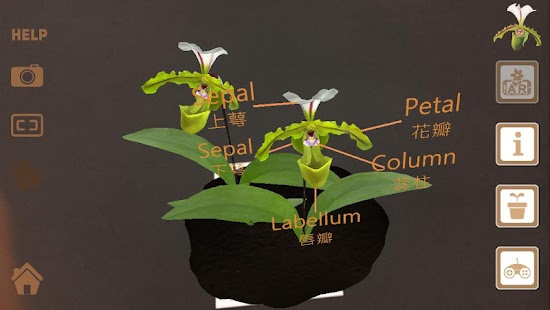 Free Gorgeous Garden APK for Android