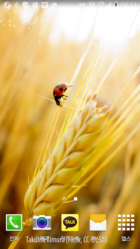 autumn rice livewallpaper