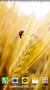 How to download autumn rice livewallpaper lastet apk for bluestacks