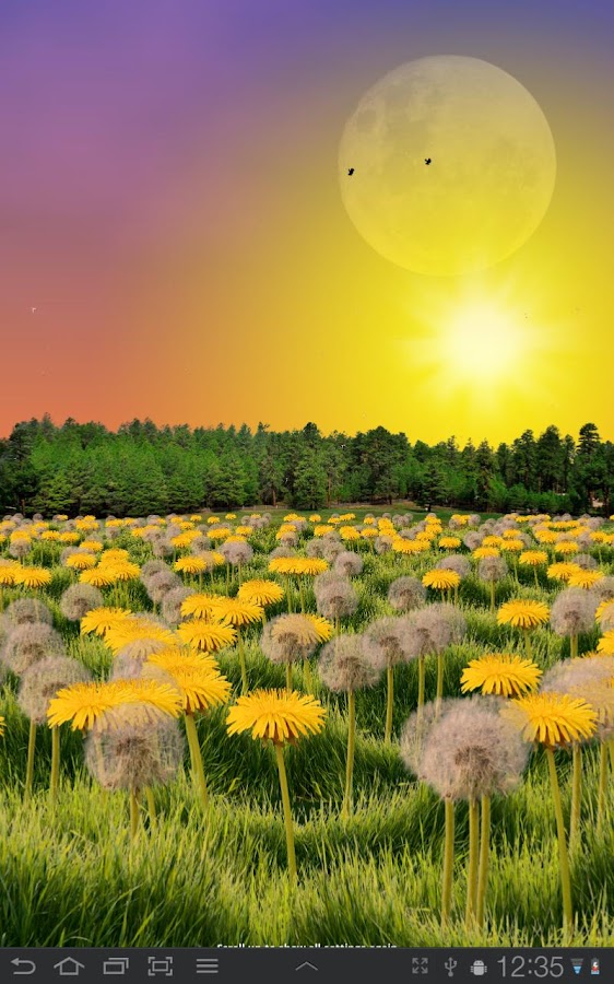 Dandelions Live Wallpaper Android Apps on Google Play