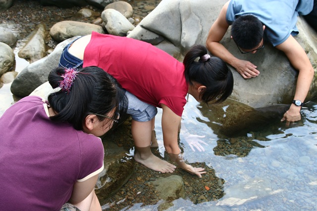 [IMG_69672.jpg]