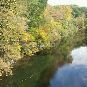 Brandywine River with a touch of autumn by Dianne Collins - Landscapes Waterscapes