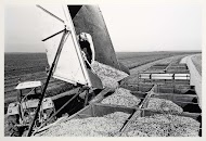 Tuinbouwbedrijf in de open grond in de Flevopolder