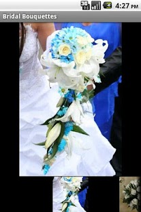 Download Bride-Wedding Idea Book Pro APK
