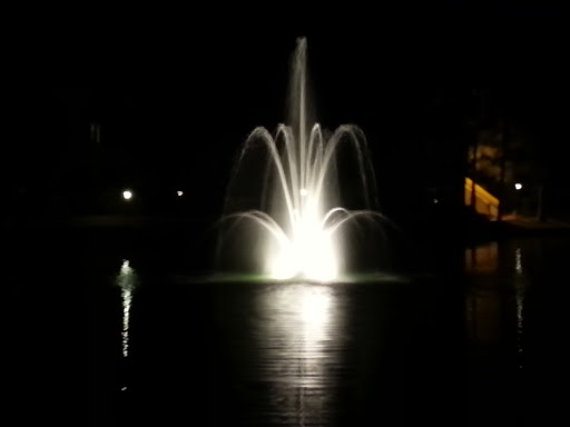 Lakeside Fountain