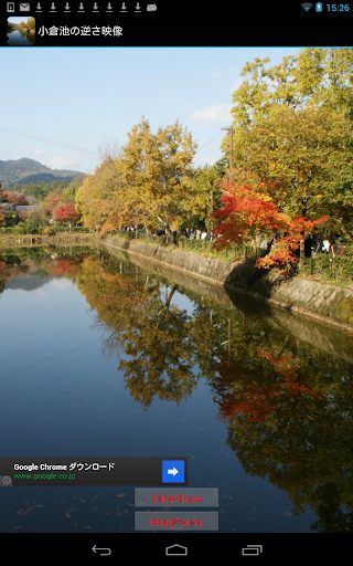 京都 嵯峨野小倉池の紅葉 JP049