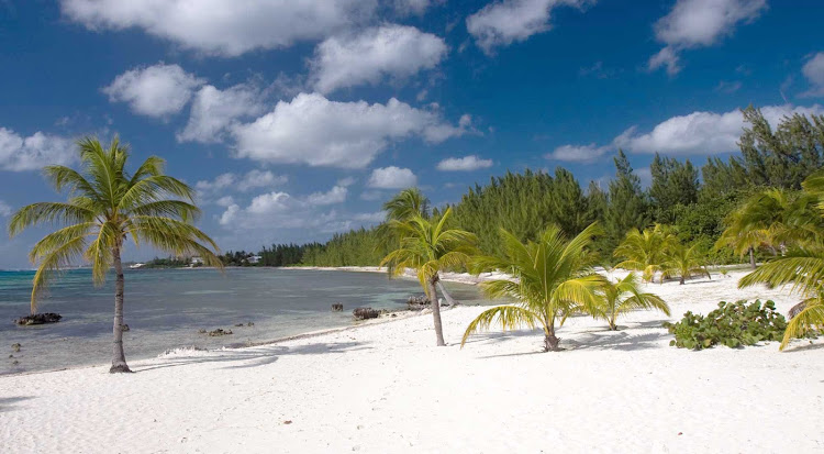 Pease Bay on Grand Cayman Island.