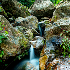  Munnar Kerala Water Fall  by Vyom Saxena - Nature Up Close Water