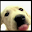 Licking Puppy Wallpaper Download on Windows