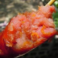 桃園向陽農場