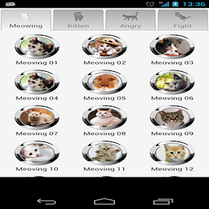 Cat Sounds 1.0.0.4