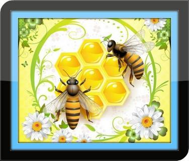 Bee Farming Tips