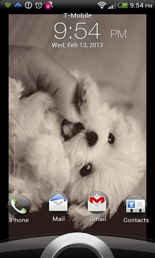 Cute Puppy Live Wallpaper