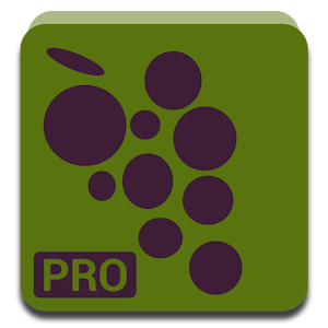 BuschenschankFinder Pro logo