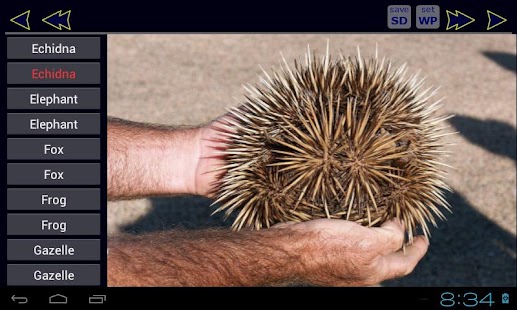 Animal ABC Book Screenshots 2
