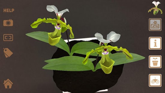 Free Gorgeous Garden APK for Android