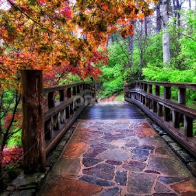 The Sunrise Bridge - Garvan Woodland Gardens - Hot Springs, Arkansas  by William Rainey  - Buildings & Architecture Bridges & Suspended Structures