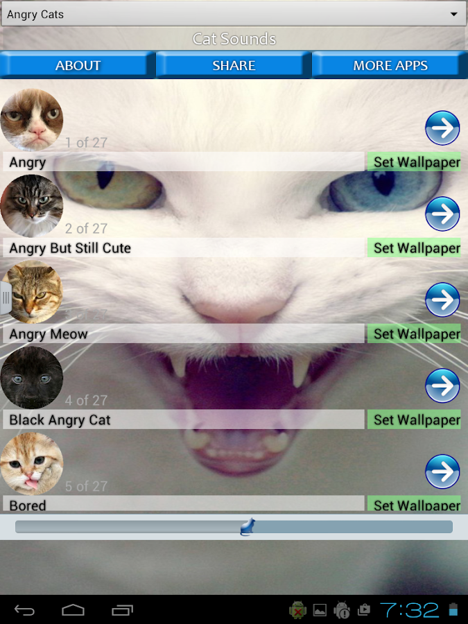 kedi sesleri ve görüntüleri Google Play�de Android Uygulamaları