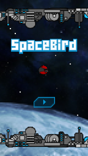 Space Bird