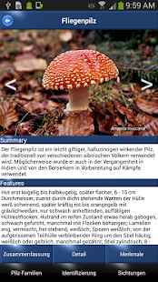 How to install Pilz Id, Die Pilze Sammeln App patch v10 apk for android