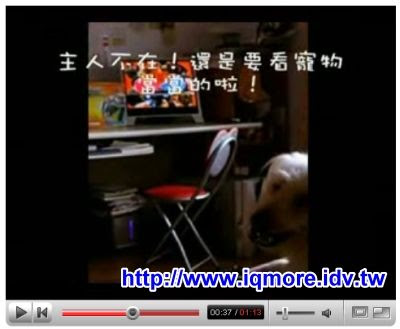 [影片] 狗狗也愛看康博(Compro)啟視錄！ - 老貓測3C