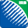 Official Rugby World Cup 2011 icon