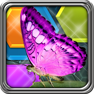 HexLogic - Butterflies 解謎 App LOGO-APP開箱王