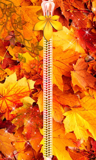 Autumn Zipper Lock Screen