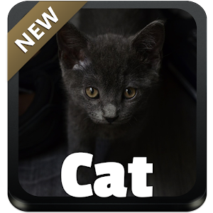 Cat GO Keyboard.apk 1.184