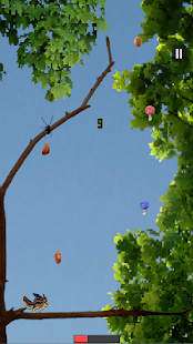 Free Download Kiki the Squirrel's Gone Nuts! APK