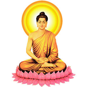 Phat Hoc Pho Thong.apk 3.0