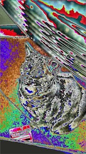How to get Psychedelic Picture Effect 1.0 unlimited apk for android