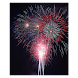 Shake 4 Fireworks